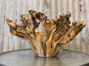 Forever Green Art - Large Branchy Bowl